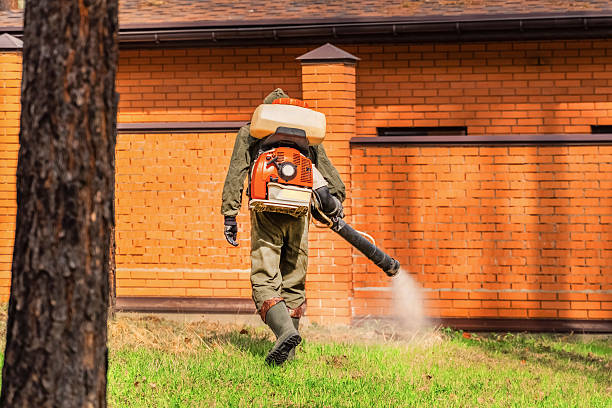Trusted Ant Control service in Cannon Falls, MN - Nex Pest Control